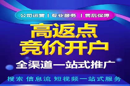 案例分享：SEM推广优化实战技巧
